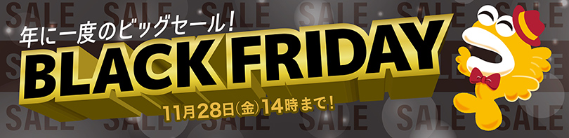ブラックフライデー