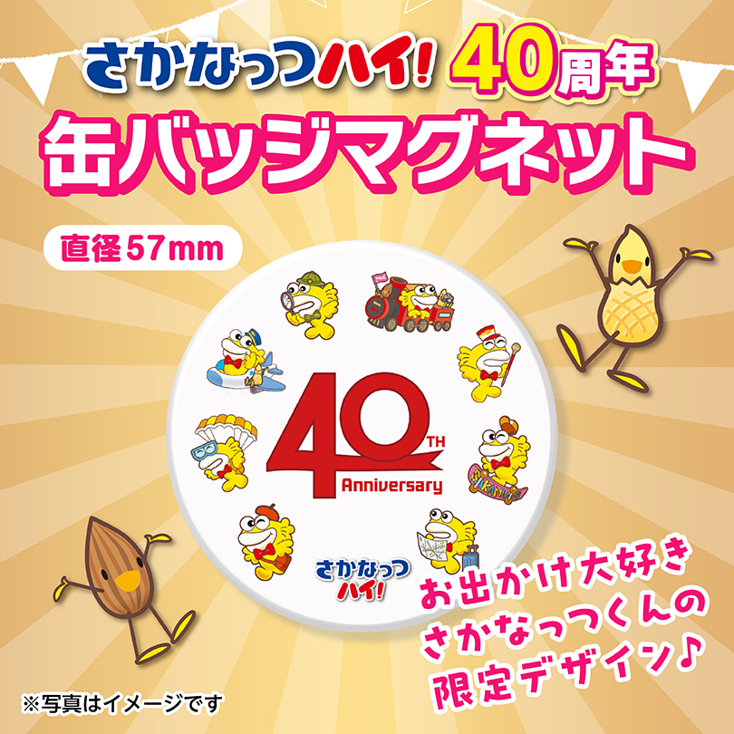 たくなりさん専用　アオバナハイノキ　/15 と　ドウダンツツジ　セット KATAKUCHI-IWASHI Tシャツセット 【アーモンド】【小魚】【ヌーナッツ