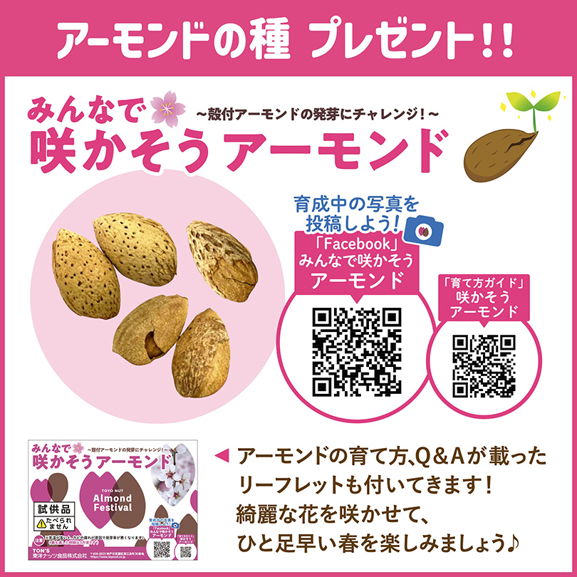 アーモンドの種プレゼント