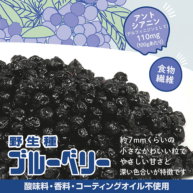 野生種 ブルーベリー